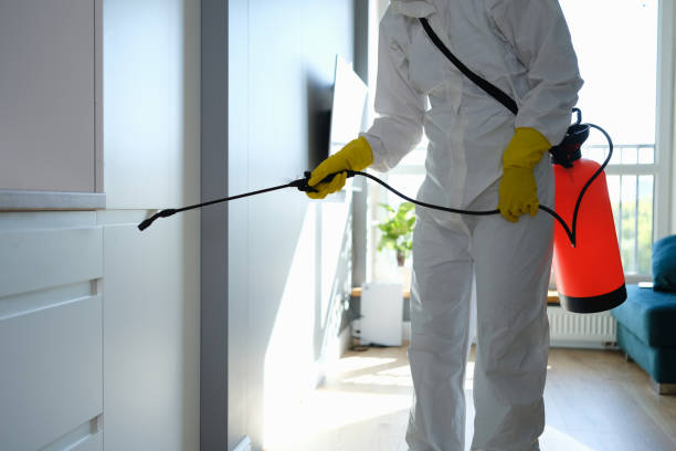Best Toxic Mold Removal  in Buffalo, OK